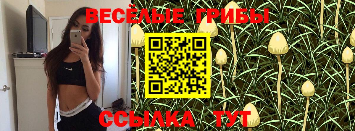 Галлюциногенные грибы мухоморы  Вход с VPN  Ногинск 